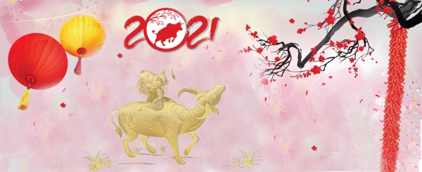 Ch&uacute;c Mừng Năm Mới