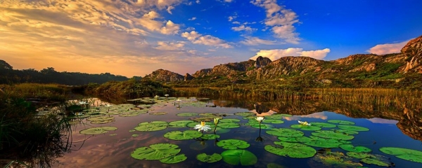 Serenity - Jim Lee - 9788007