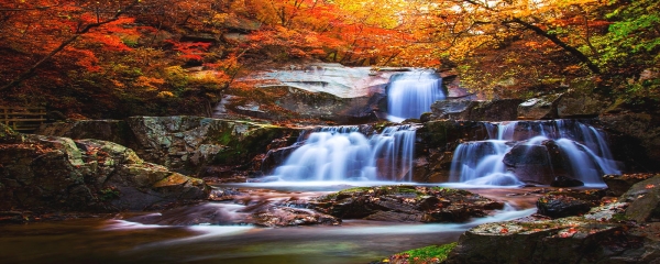 Autumn Falls - Jaewoon U - 52483300