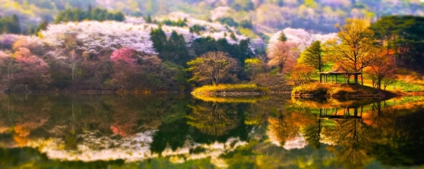 Dream of Spring - Jaewoon U - 65326853