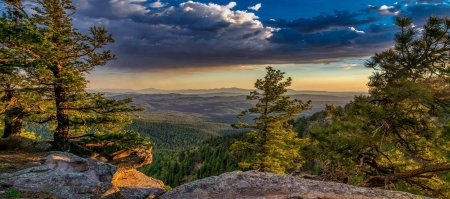 Vai Tr&ograve; Của Chư Thần Trong Việc Vận H&agrave;nh C&otilde;i Ta B&agrave;