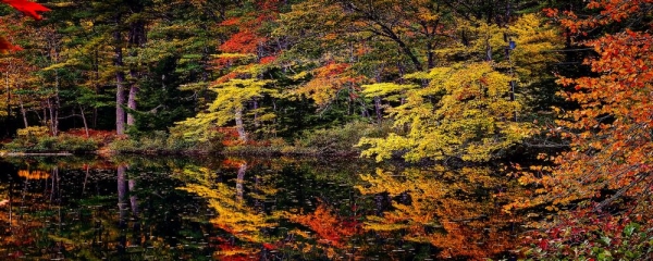 Still Water - Robin Keus - 48281756