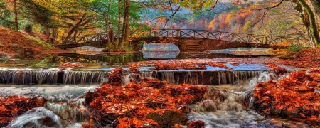 Fall Colors - Hasim Sahin - 51119388