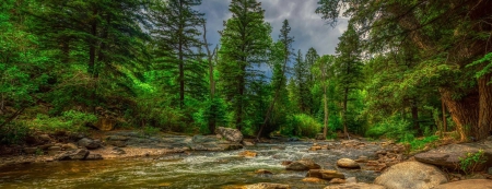 V&ocirc; T&igrave;nh Ch&uacute;ng Sanh