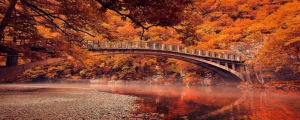 Bridge over foggy water - Kate Eleanor Rassia - 48419264